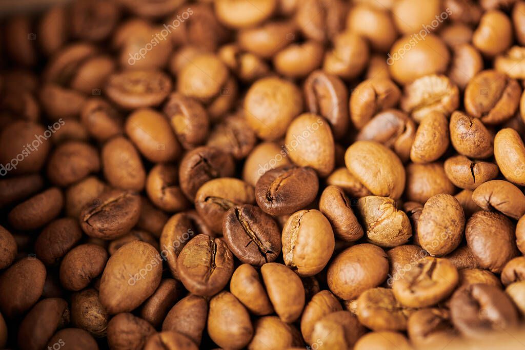 Chicchi di caffè chiari in un sacchetto di juta