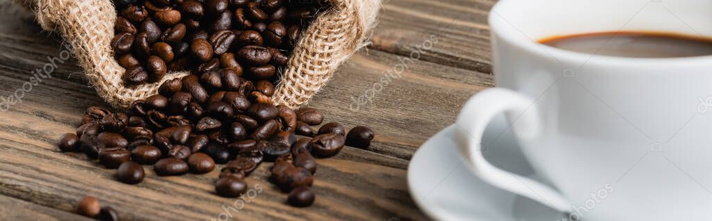 Sacchetti di caffè in grani appoggiati su un bancone